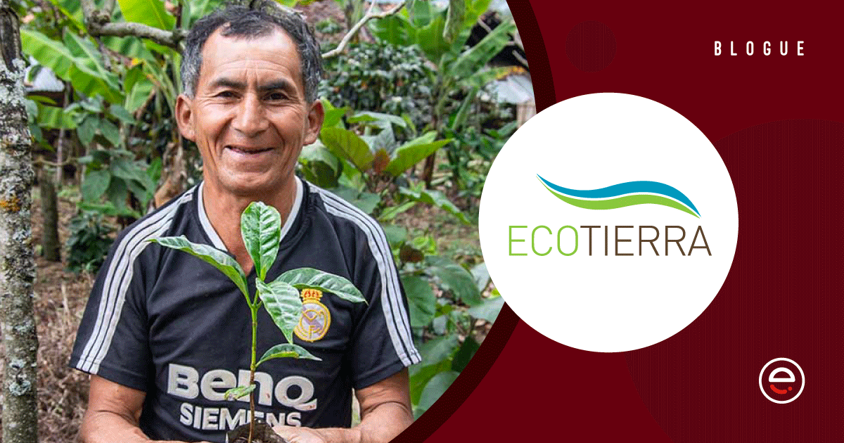 Ecotierra