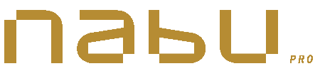 Consultant Nabu Pro Inc.